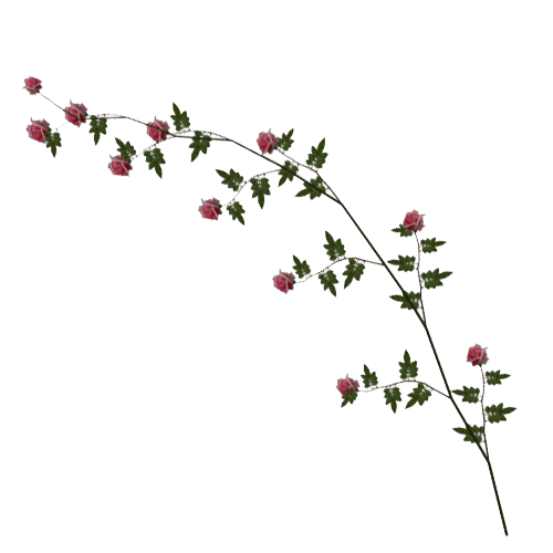 clip art rose vine - photo #16
