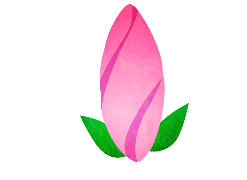 Flower Blooming Animation - ClipArt Best