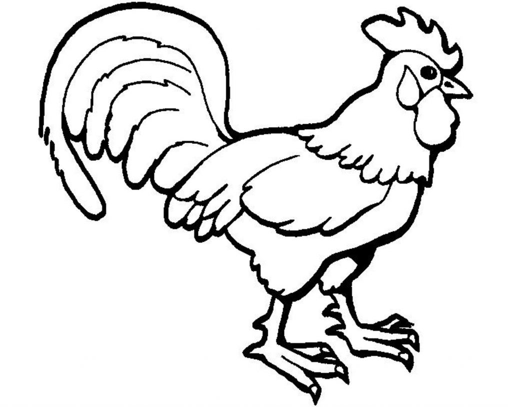 Rooster Coloring Page - Whataboutmimi.com