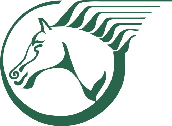 horse head logo - get domain pictures - getdomainvids.com
