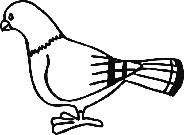 Pigeon Outline - ClipArt Best