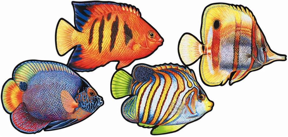 Coral Reef Fish Cutouts