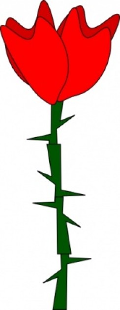 rose with stem with thorns | Download free Vector