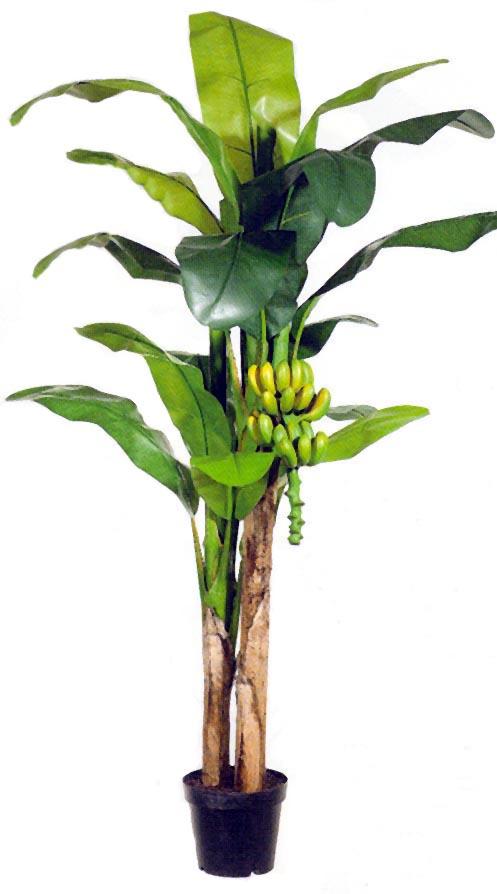 Artificial Banana Trees