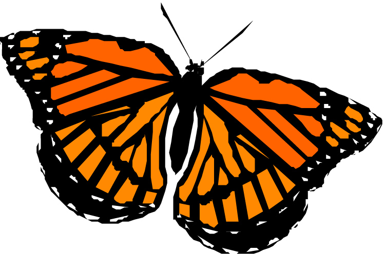 Monarch Butterfly Craft | Harris County Public Library