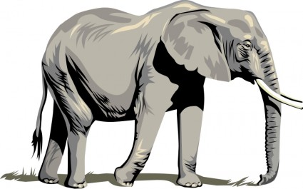 Elephant Vector clip art - Free vector for free download