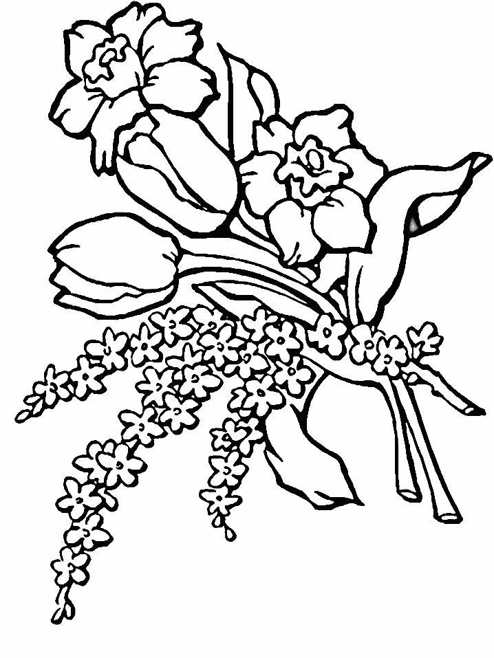 1,028 views Flower Coloring Pages 2 | Coloring Pages To Print