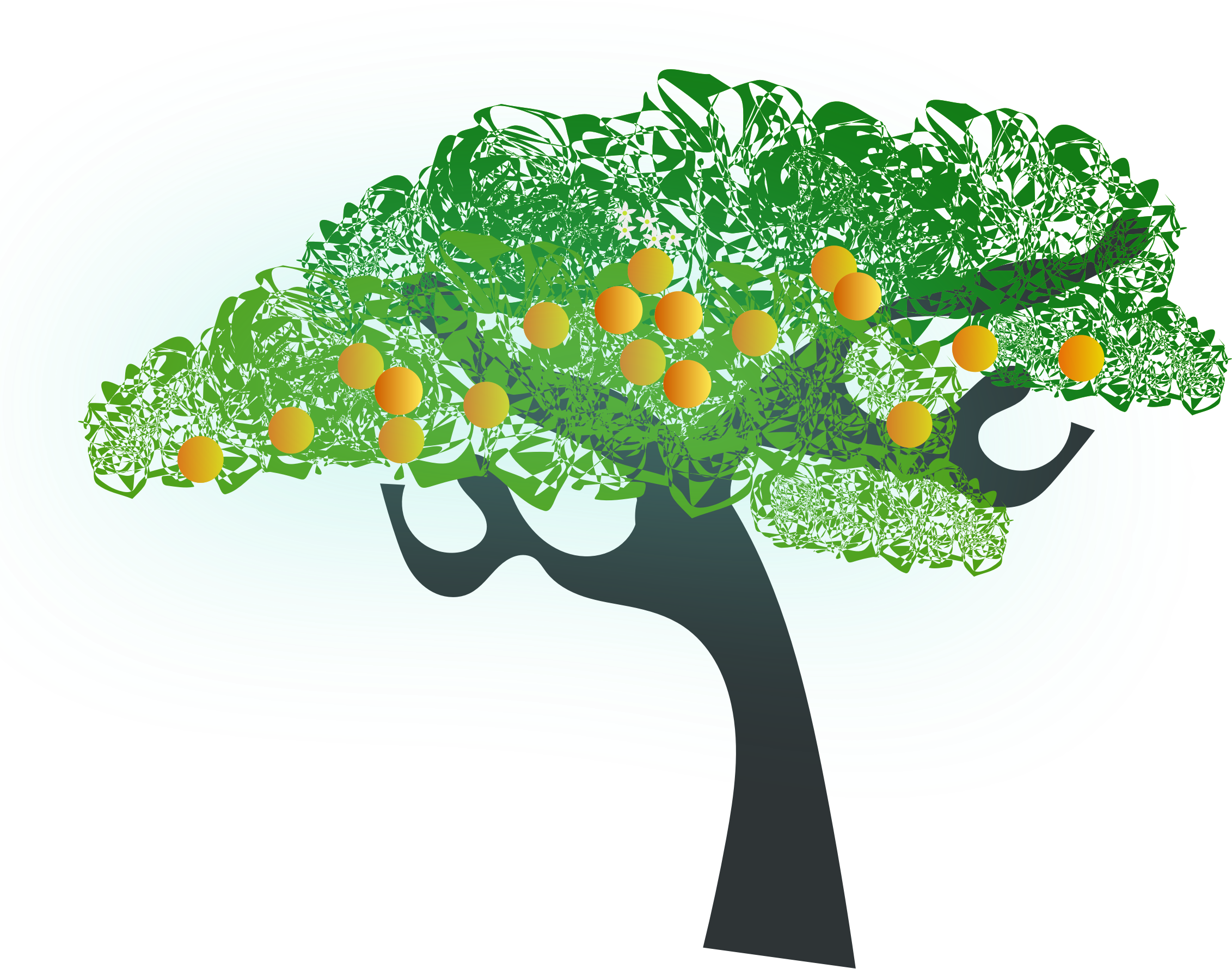 clipart orange tree - photo #10