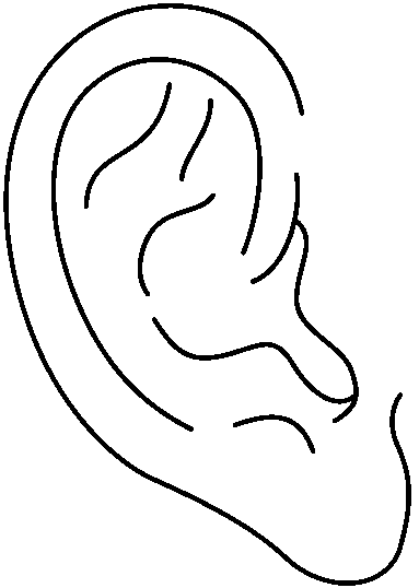 Clipart Ears - Tumundografico