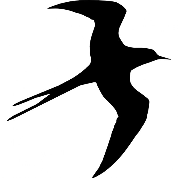 3 Birds Flying - ClipArt Best