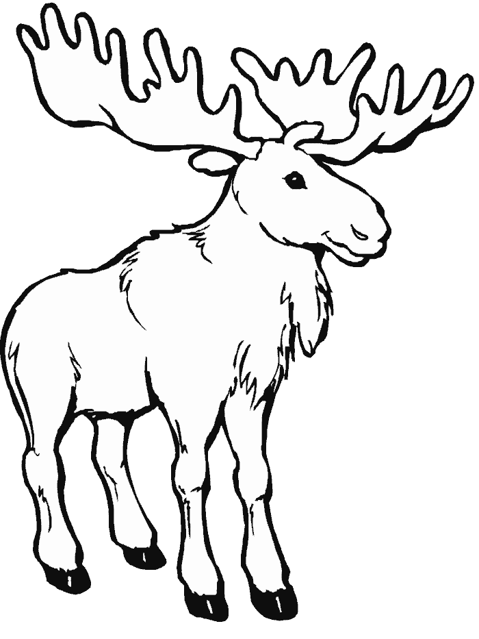 Caribou Coloriage - ClipArt Best