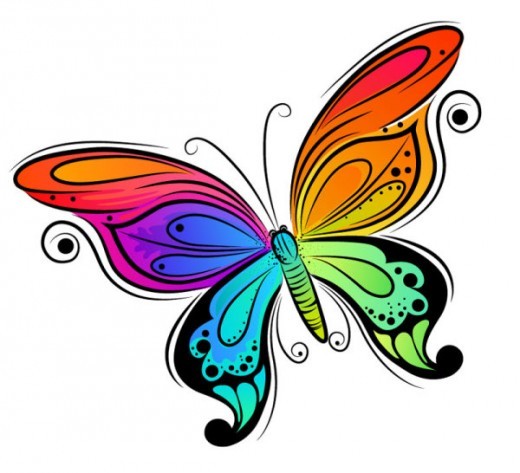 Butterfly Drawing With Details - ClipArt Best
