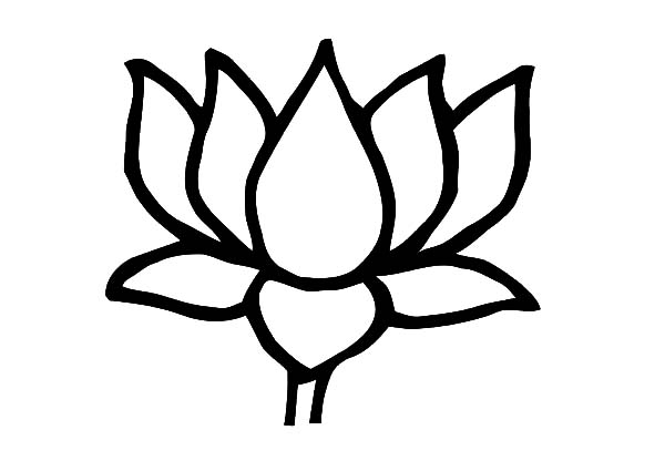 Lotus Sacred Flower Coloring Pages : Batch Coloring