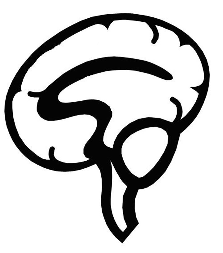 Human Brain Outline - ClipArt Best