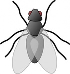 Art Bug Vector - Download 1,000 Vectors (Page 1)