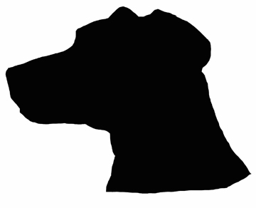 horse outline template