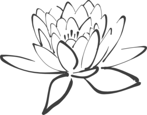 lotus-in-dark-gray-md.png