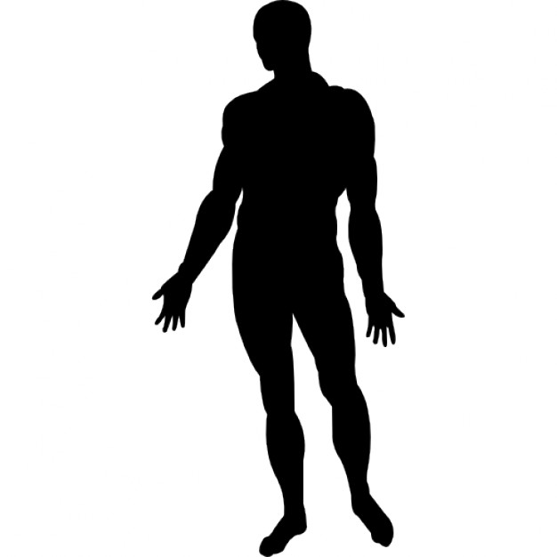 Human body silhouette.