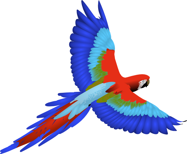 Tropical Parrot Clipart