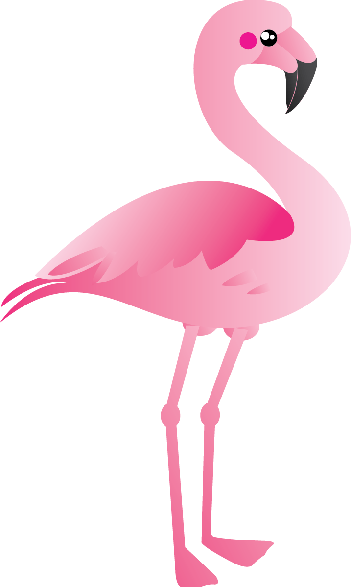Pink flamingo bird clipart free stock photo public domain pictures ...