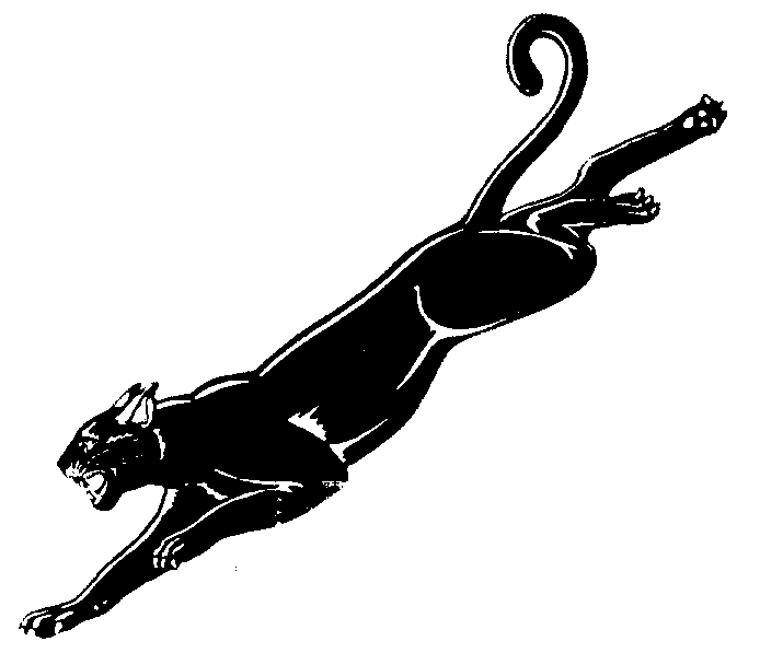 Panther Silhouette Clipart