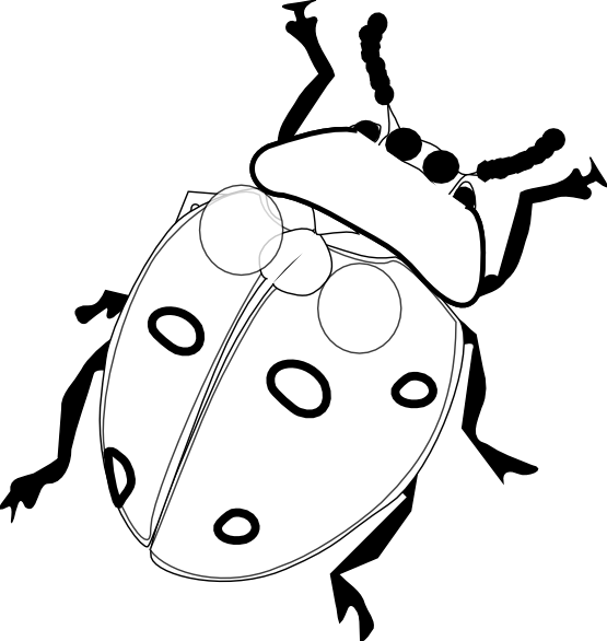 Black And White Drawings Of Bugs - ClipArt Best