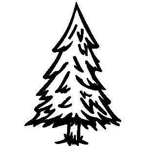 Pine tree clipart line art