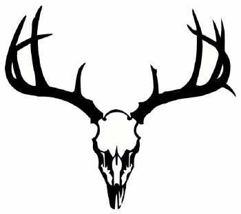 Buck deer skull clip art