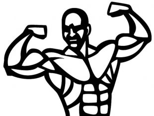 bodybuilder vector graphics | free vectors | UI Download