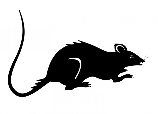 Rat silhouette Icons | Free Download