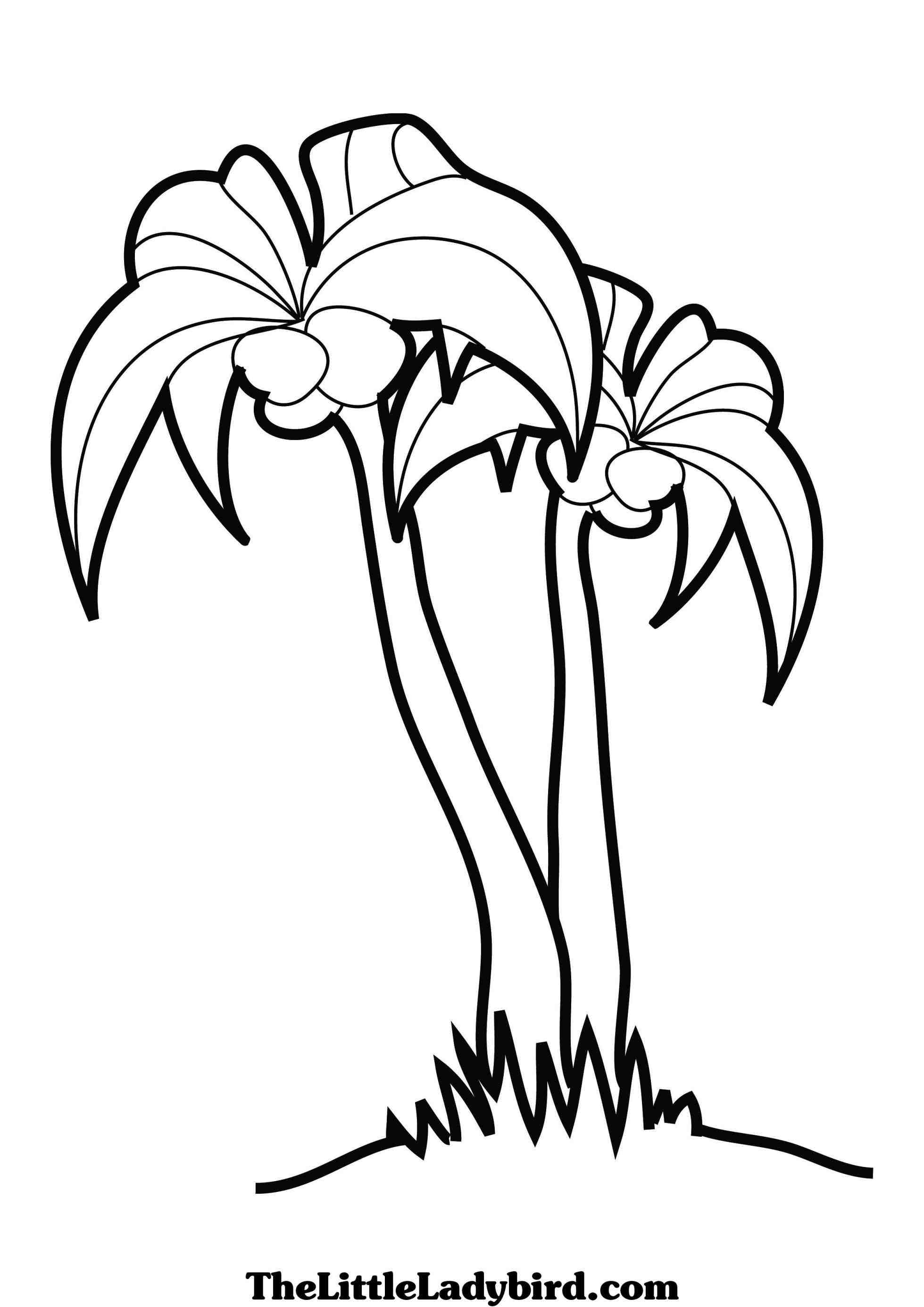 palm tree clip art coloring pages - photo #36