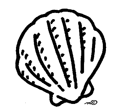 Seashell Outline Clipart