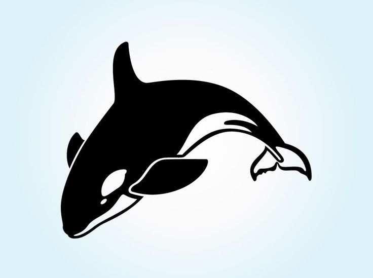 1000+ images about whales | Swim, Drawing ideas and Kid