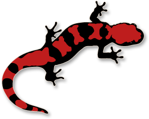 Salamander Clip Art – Clipart Free Download