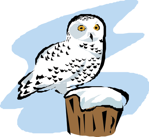 Owls: Links (Science Trek: Idaho Public Television)