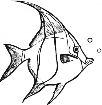 Fish in Seaweed coloring page | Super Coloring