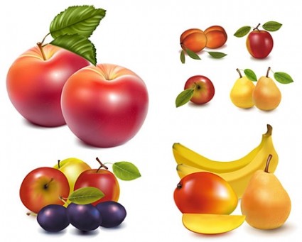 Plum fruit Free vector for free download (about 7 files).