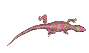 Lizard 3D Gif E-ARTjapan BMC