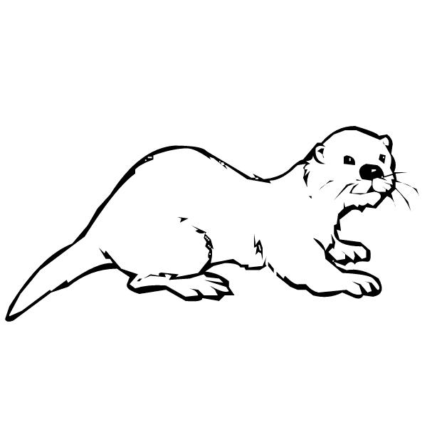 Otter coloring page - Animals Town - animals color sheet - Otter