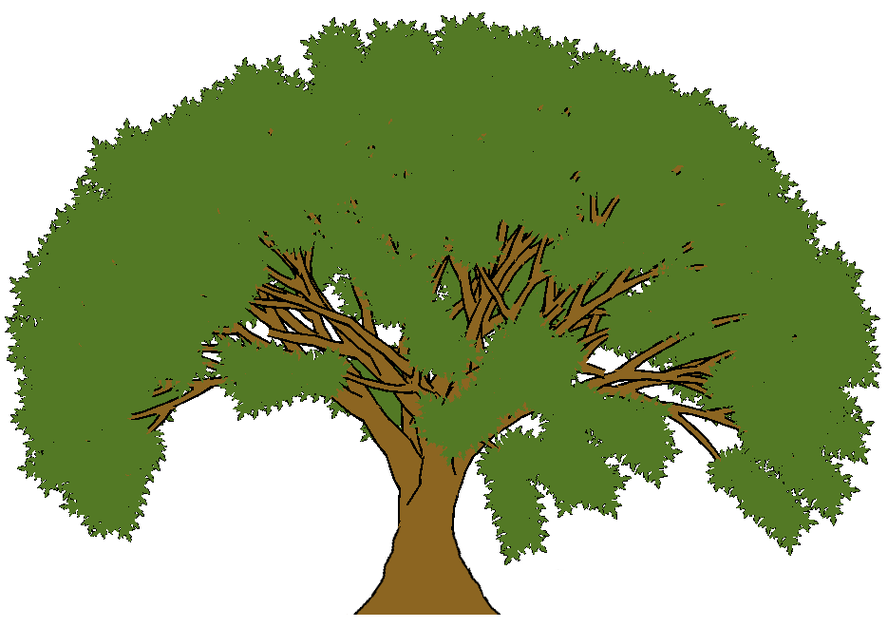 Cartoon Tree Image Clipart - Free to use Clip Art Resource