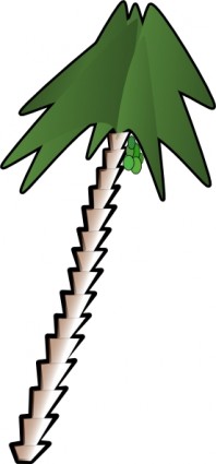 Leaning Palm Tree clip art Vector clip art - Free vector for free ...