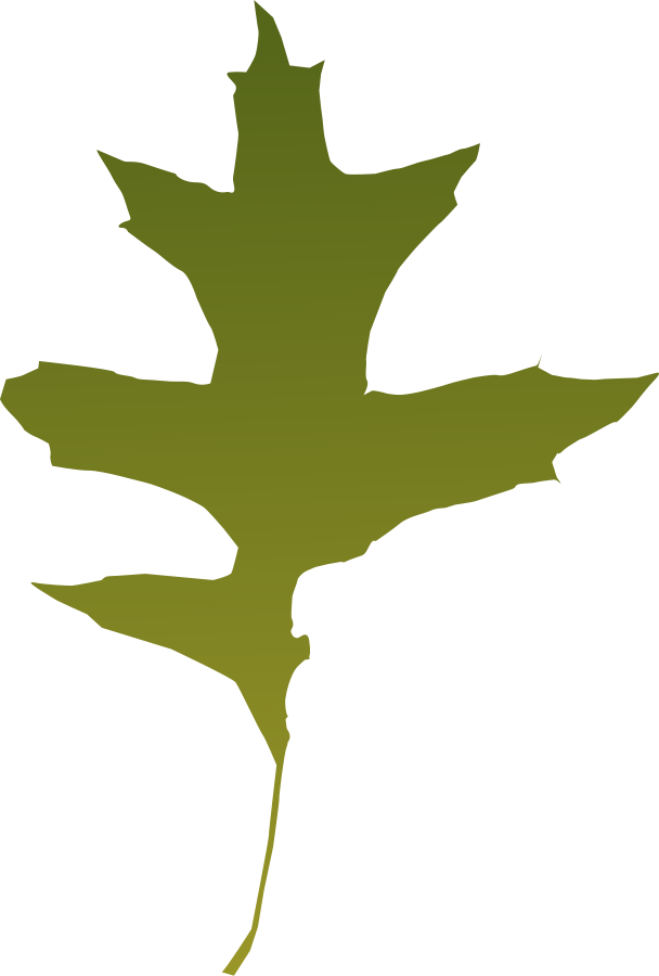 Clip Art Oak Tree - ClipArt Best - ClipArt Best