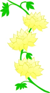 Lotus Flower Clipart Image - Yellow Lotus Flowers On A Vine