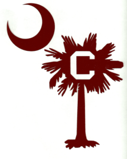 Palmetto Tree Logo
