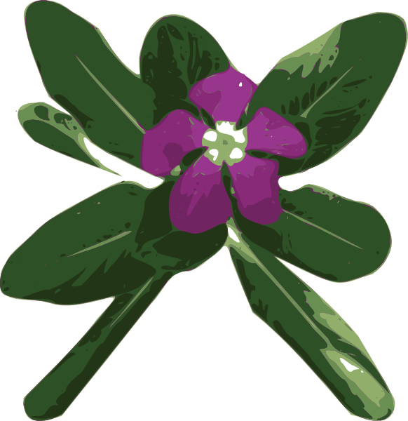 Flower 51 clip art - vector clip art online, royalty free & public ...