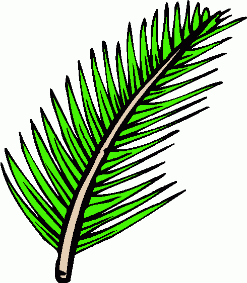 clip art palm tree leaf - photo #33