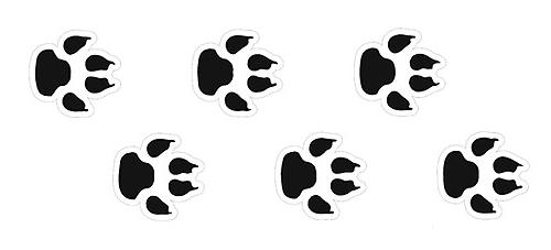 Cat_paw_prints.jpg