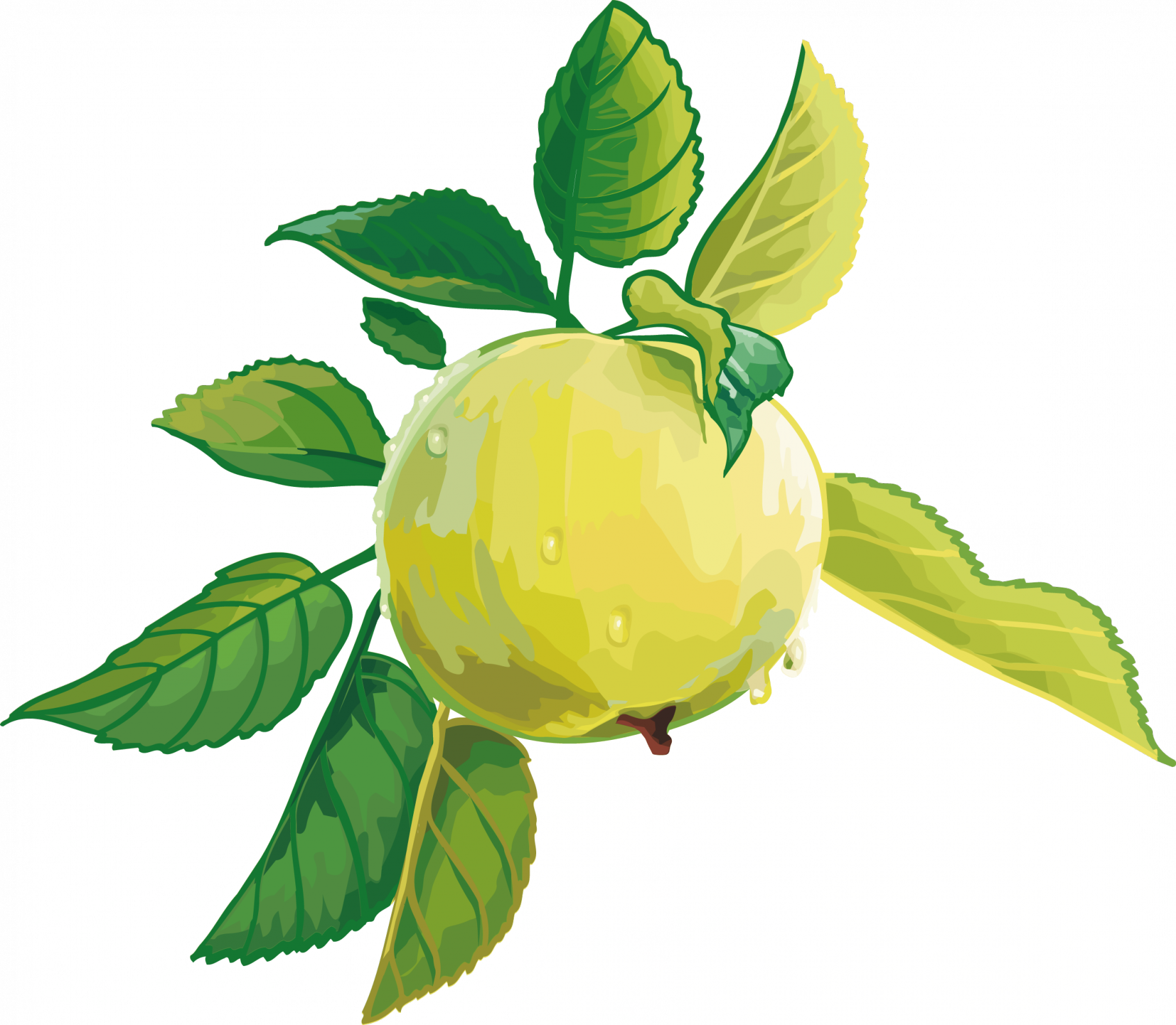 Render Fruit Vector Pomme Fruitslégumes Aliments Png Image on ...