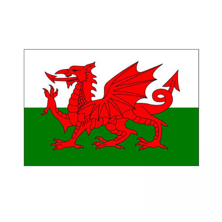Wales/Welsh Dragon Courtesy flag