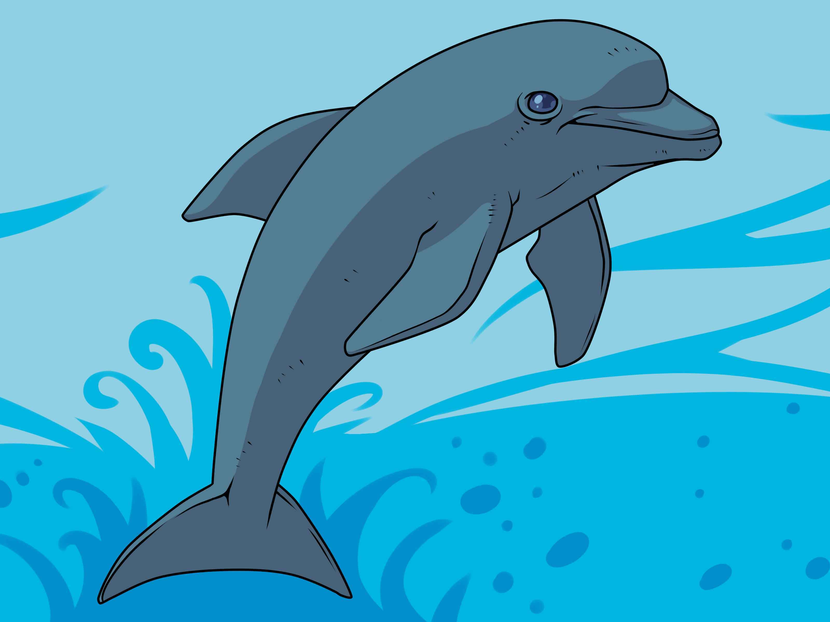 Cute Dolphin Cartoon Image 4 150x150 Cute Dolphins Cartoon 